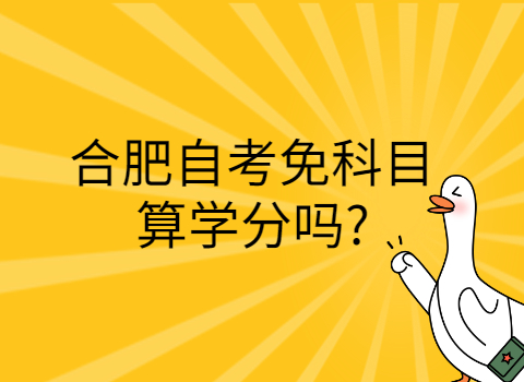 合肥免考科目算學(xué)分嗎