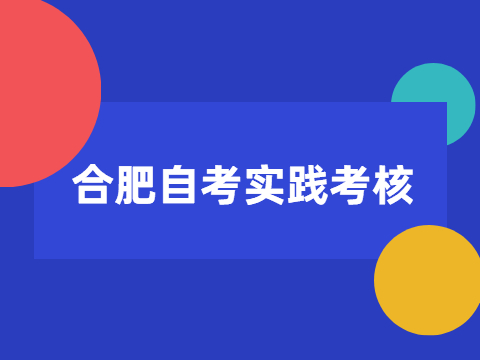 合肥自考實(shí)踐考核