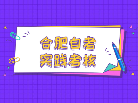 合肥自考實(shí)踐考核
