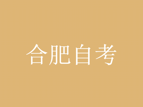 合肥自考《社會工作概論》模擬試題
